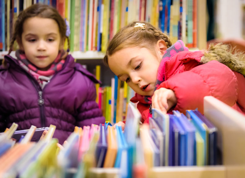 Little Girl is Choosing a Book